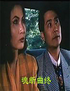 贺少您的偏宠请签收